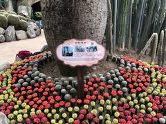 -南山植物园