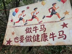 -广州白江湖森林公园