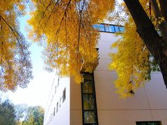 -北京国家会计学院