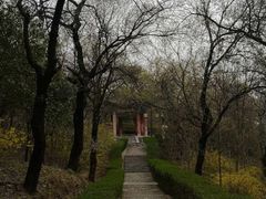 -洛阳周公庙博物馆