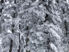 -瓦屋山景区