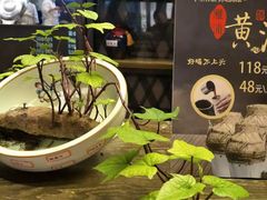 -小厨娘淮扬菜(清江苏宁广场店)