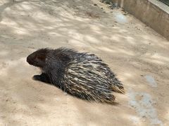 -青藏高原野生动物园