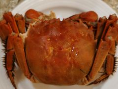 -北海渔村酒楼·粤菜海鲜点心(新华店)