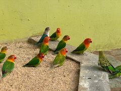 -北京野生动物园