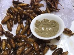 -火娃菜馆(新岭花园1期店)