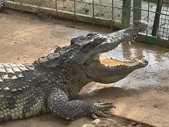 -石家庄市动物园