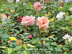 -人民公园(罗湖区)