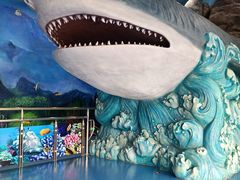 -多彩贵州城极地海洋世界