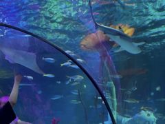 -沈阳海洋探索中心