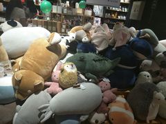 -九木杂物社(新奥购物中心店)