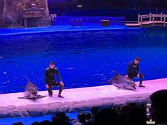 -华夏文旅海洋公园