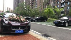 -蚂蚁婚车