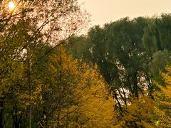 -长白岛森林公园