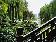 -南翠屏公园