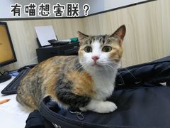 -瑞派紫金宠物医院24小时·骨科·中兽医·重症转诊中心(番禺大石院)