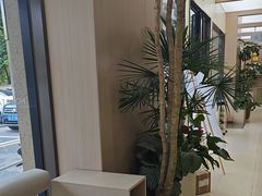 -虹泰宠物医院 ·旗舰店·24h(南秀路店)