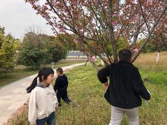 -滆湖低碳生态公园