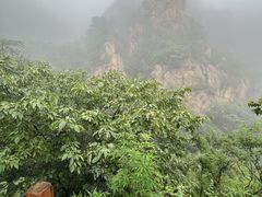 -大岭沟猕猴桃谷风景区