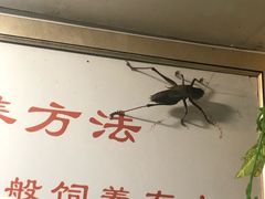 -上海昆虫博物馆