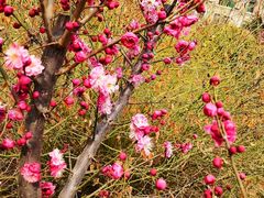-山东师范大学(千佛山校区)