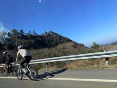 -四明山国家森林公园