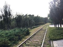 -永定河休闲森林公园