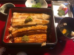鳗鱼双拼-料亭菊水楼