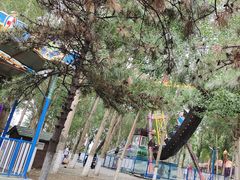 -长白岛森林公园