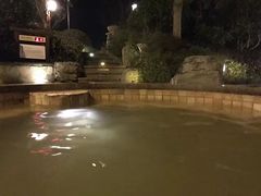 -天目湖涵田半山温泉