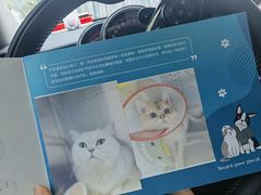-美联众合动物医院·24h转诊中心