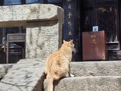 -九寨沟石锅鱼(沣峪口二十年店)