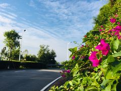 -火炉山森林公园