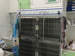 -汪喵宠物医院·骨科心脏影像·犬猫急重症ICU诊疗中心(成华分院)