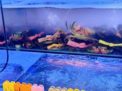 -辣螃铠盆盆蟹大排档(海昌店)