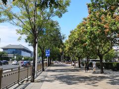 -真地道京味府·鲜橙烤鸭·北京菜(朝外大街东大桥店)