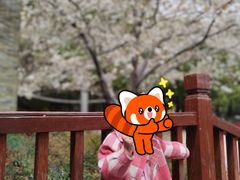 -玉山公园