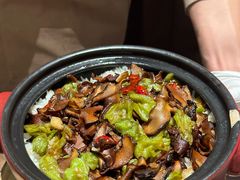 -蘑界·野生菌火锅(深业上城店)