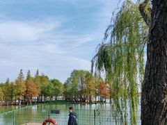 -贡湖湾湿地公园