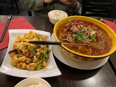 -熊猫川菜馆 panda chine