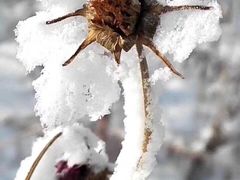 -长春公园(普阳街道)