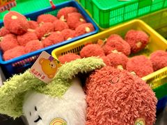 -大龙燚·旷野鲜火锅(广州首店)