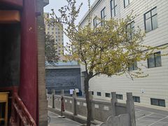 -东关清真大寺