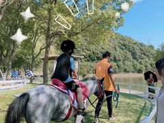 -宁波九龙湖开元度假村