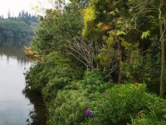 -深圳仙湖植物园