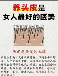 -Bollins波林丝•专研护发中心