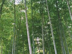 -我家农庄