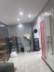 -镁连社·美联社