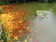 -武汉紫薇都市田园