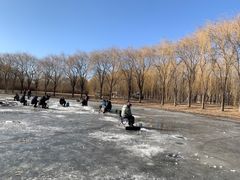 -东坝千亩湖公园